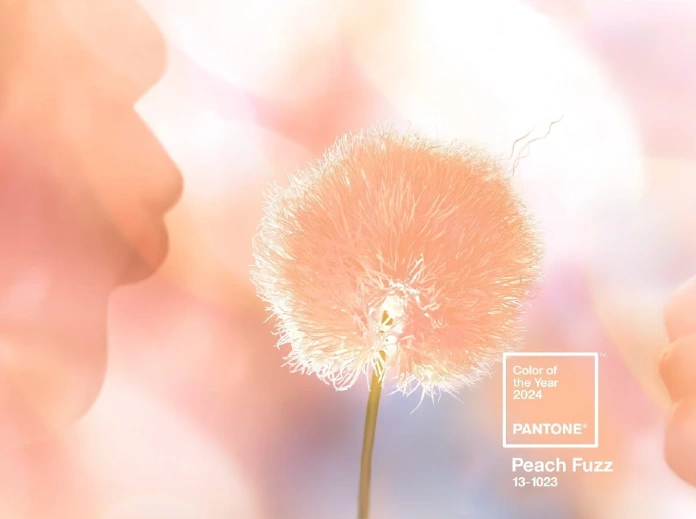 A Peach Fuzz é a tendência para 2024